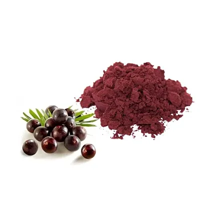 Açai em Pó
