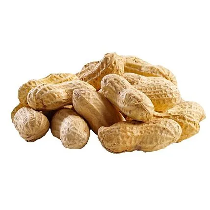 Amendoim Cru Em Casca a Granel