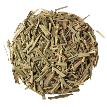 Capim Cidreira