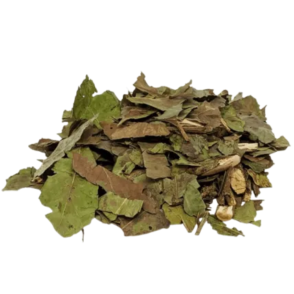 Chá Verde em Folha 