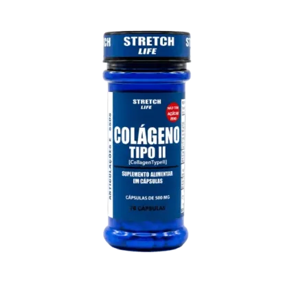 Colágeno Tipo II 500mg 70 Cáps